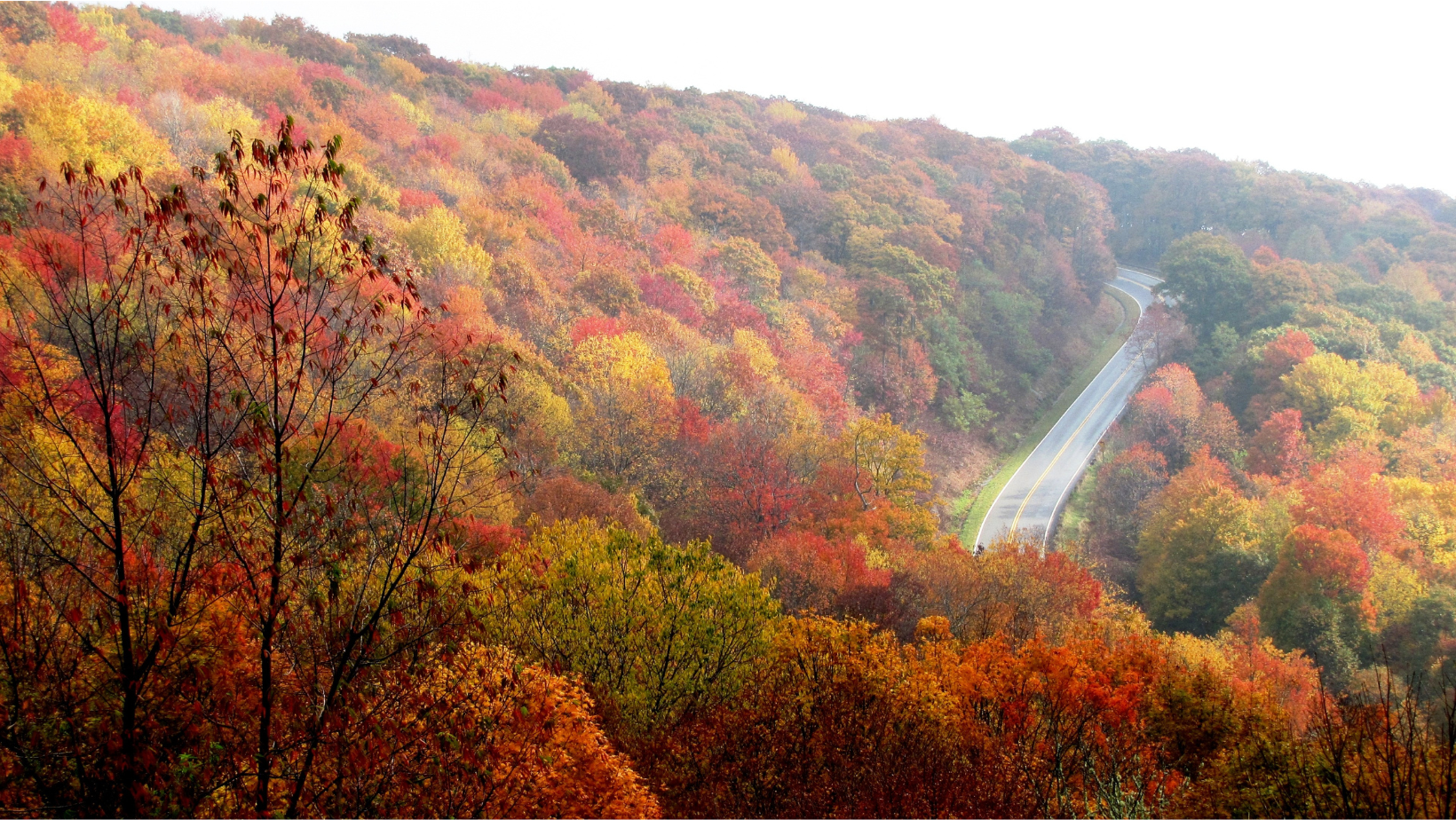 Fall Season Tips for Truck Drivers  - 1